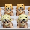 Mô hình đồ chơi em bé tập bò (có nhạc)